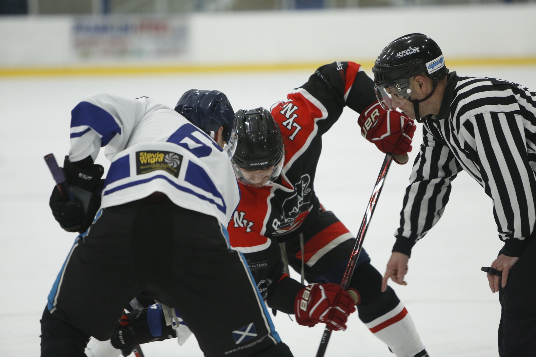 Lynx Back To Winning Form « Aberdeen Lynx Ice Hockey